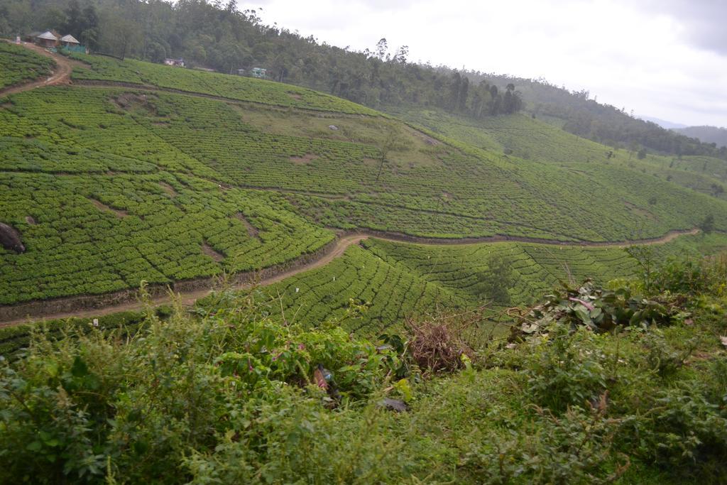 Ferndale Homestay Thekkady Esterno foto