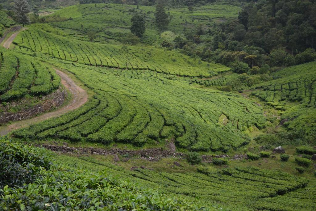 Ferndale Homestay Thekkady Esterno foto