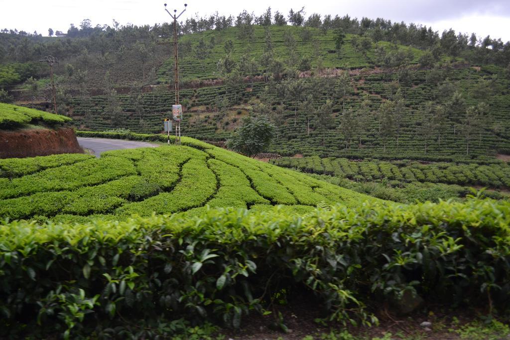 Ferndale Homestay Thekkady Esterno foto