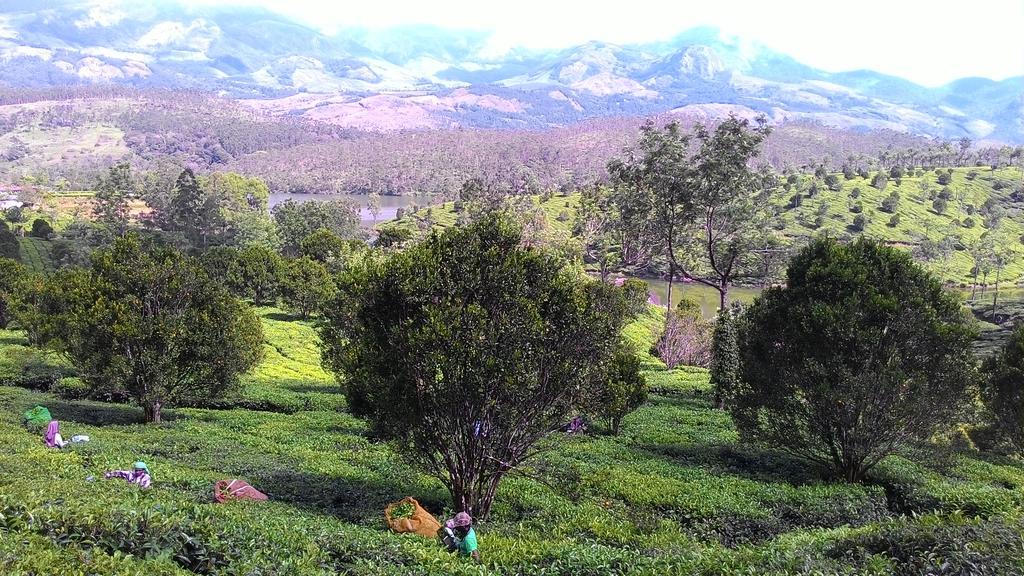 Ferndale Homestay Thekkady Esterno foto