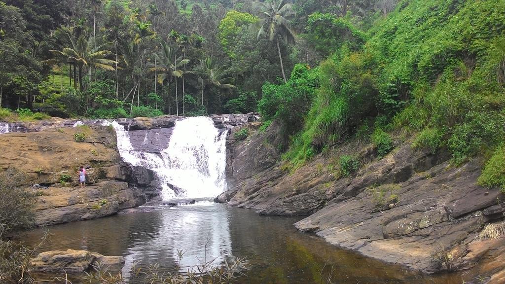 Ferndale Homestay Thekkady Esterno foto