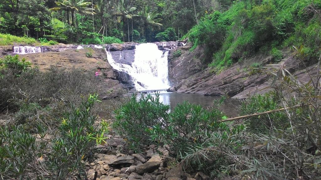 Ferndale Homestay Thekkady Esterno foto